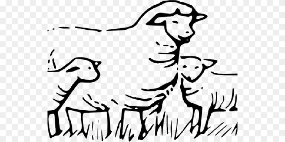 Lamb Clipart Sheep Flock, Livestock, Animal, Mammal, Person Png