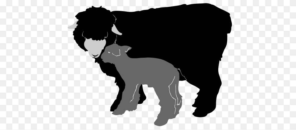 Lamb Clipart Silhouette, Baby, Person, Face, Head Free Png