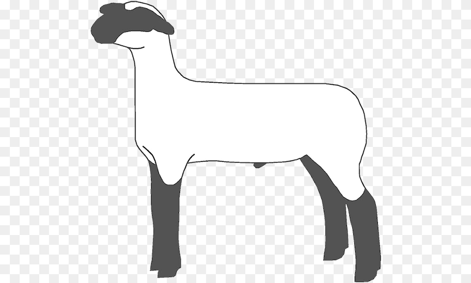 Lamb Clipart Two Show Lamb Clip Art, Livestock, Adult, Female, Person Png Image