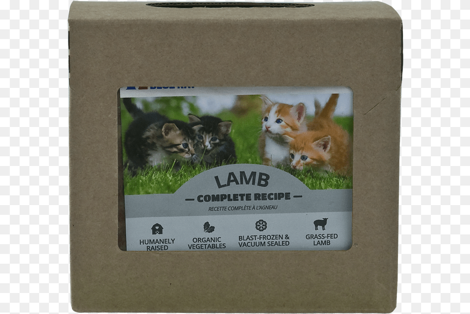 Lamb Complete For Cats Guinea Pig, Animal, Cat, Kitten, Mammal Free Png Download