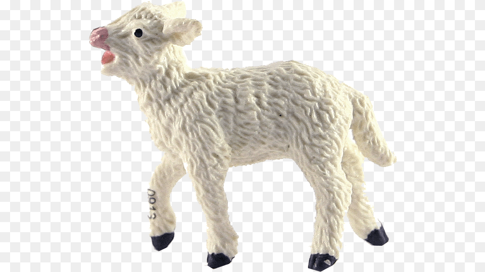 Lamb Lambs, Animal, Livestock, Mammal, Sheep Free Transparent Png