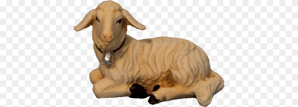 Lamb Lying, Livestock, Animal, Mammal, Bear Free Png Download
