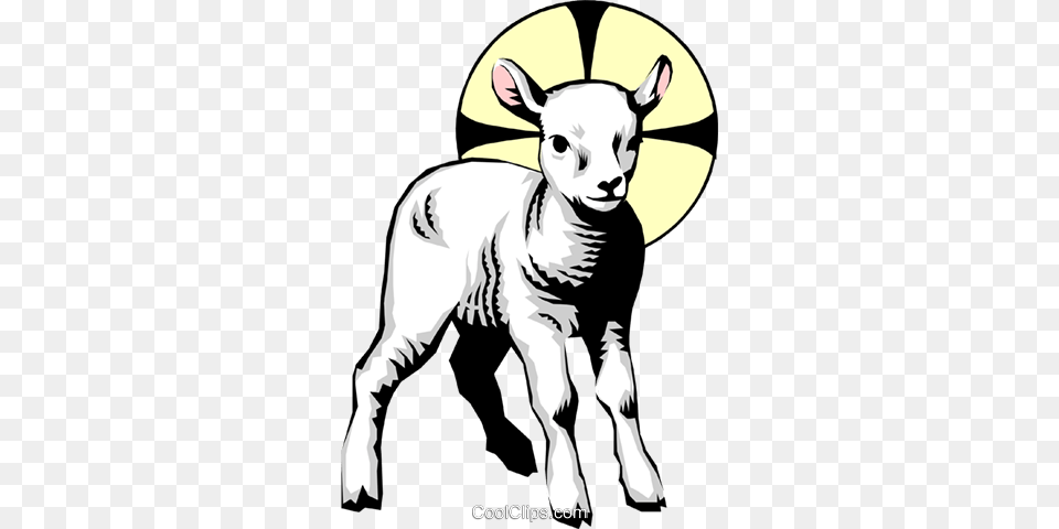 Lamb Of God Royalty Vector Clip Art Illustration, Livestock, Baby, Person, Animal Png