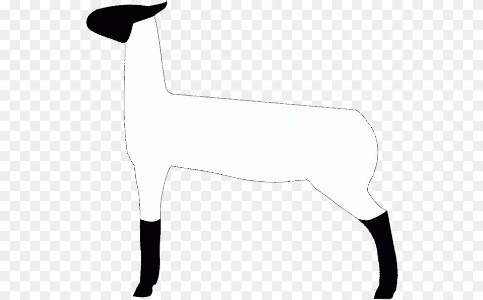 Lamb Show Clip Art, Animal, Mammal, Person Free Transparent Png