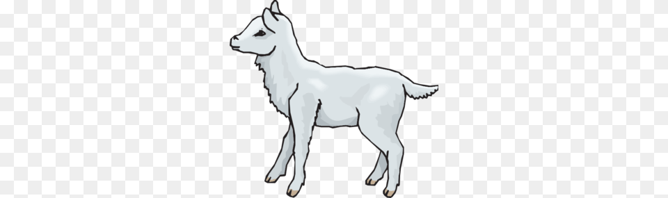 Lamb Standing Clip Art, Livestock, Adult, Female, Person Png