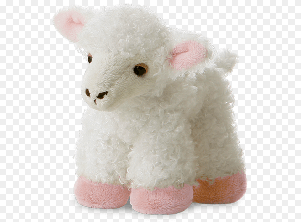 Lamb Stuffed Animal, Plush, Toy, Teddy Bear Free Transparent Png