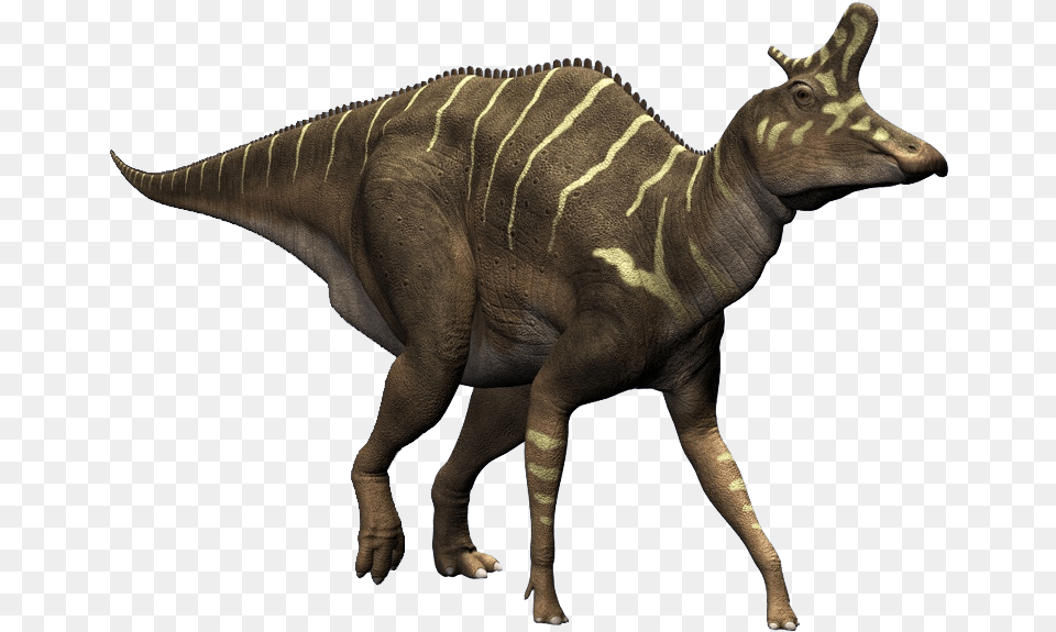 Lambeosaurus, Animal, Dinosaur, Reptile, T-rex Png Image