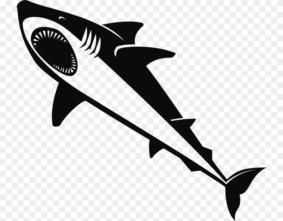 Lamnidaesharkrequiem Shark Great White Shark, Animal, Sea Life, Fish Free Png Download