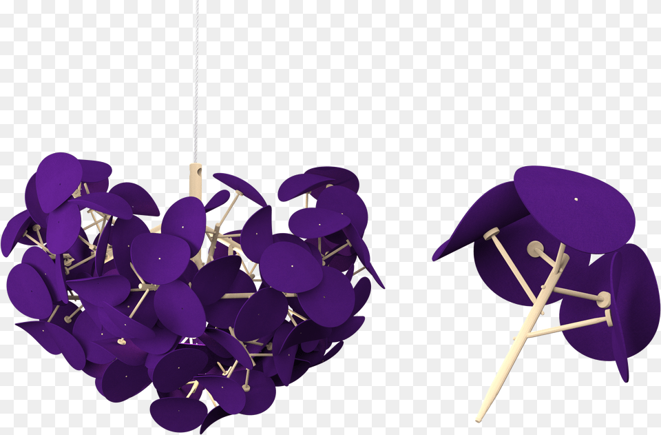 Lamp, Purple, Clothing, Flower, Hat Free Png