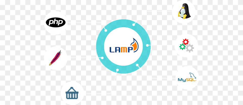 Lamp Solutions Linux Apache Mysql Php, Logo, Animal, Bird, Penguin Png