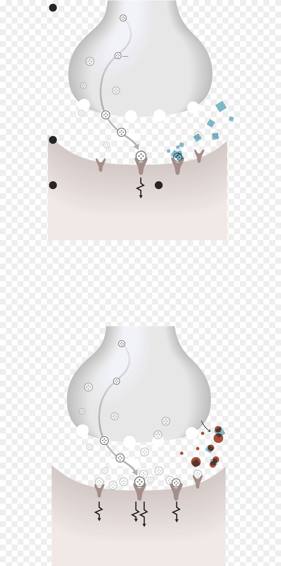 Lampshade, Lamp, Adult, Bride, Female Png Image