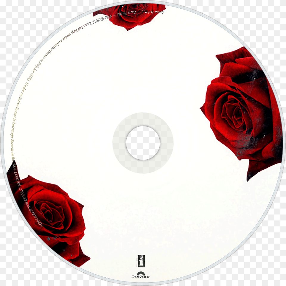 Lana Del Rey Born To Die Cd Disc Image Lana Del Rey Born To Die Disc, Flower, Plant, Rose, Disk Free Transparent Png