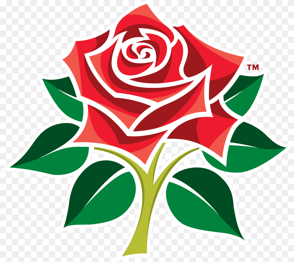 Lancashire Cricket Club, Flower, Plant, Rose, Dynamite Free Png