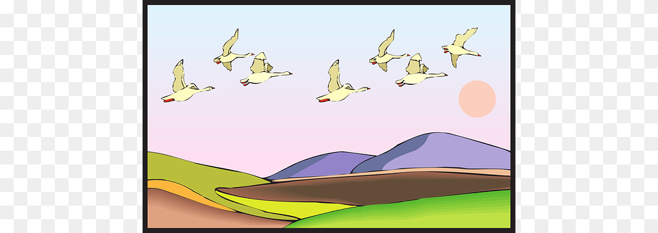 Land Animal, Bird, Flying, Goose Png