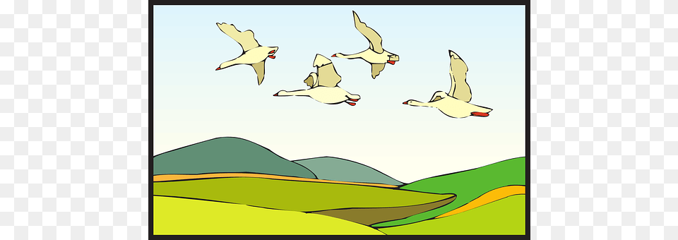Land Animal, Bird, Flying, Goose Free Png