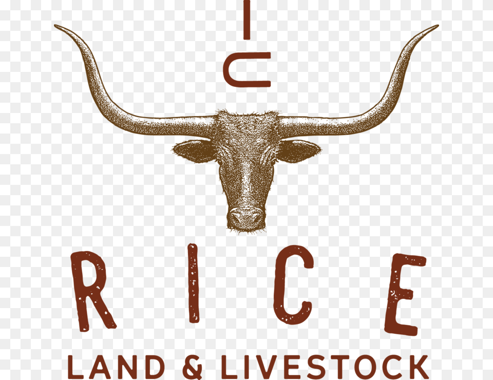Land And Livestock Logos, Animal, Cattle, Longhorn, Mammal Free Transparent Png