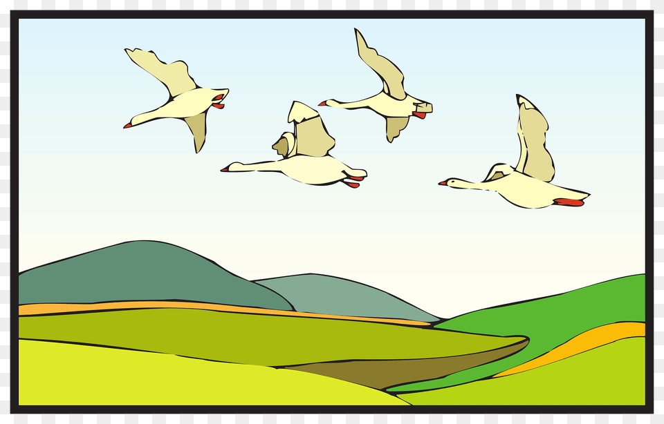 Land Clipart, Animal, Bird, Flying, Waterfowl Free Png
