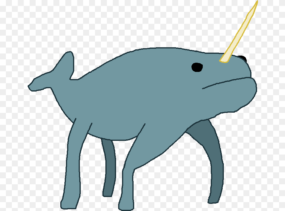 Land Narwhal Transparent Narwhal With Legs, Animal, Mammal, Baby, Person Free Png