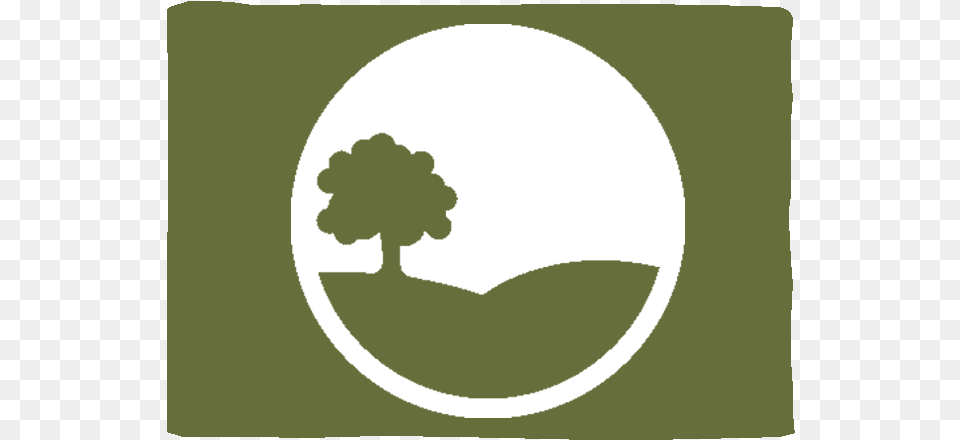 Land Property Icon Illustration, Plant, Tree, Outdoors, Logo Png