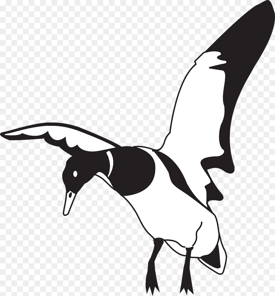 Landing Black And White Duck Clip Art At Clker Flying Duck Black And White, Animal, Bird, Goose, Stencil Free Png