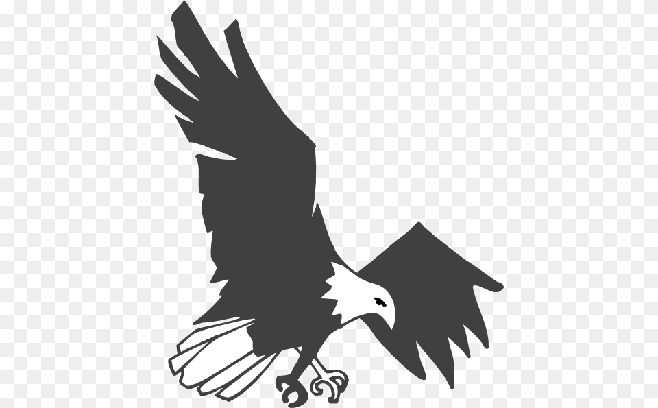 Landing Eagle Clip Art, Animal, Bird, Flying, Person Png Image