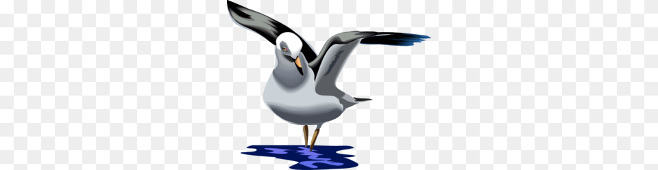 Landing Images Icon Cliparts, Animal, Bird, Seagull, Waterfowl Png