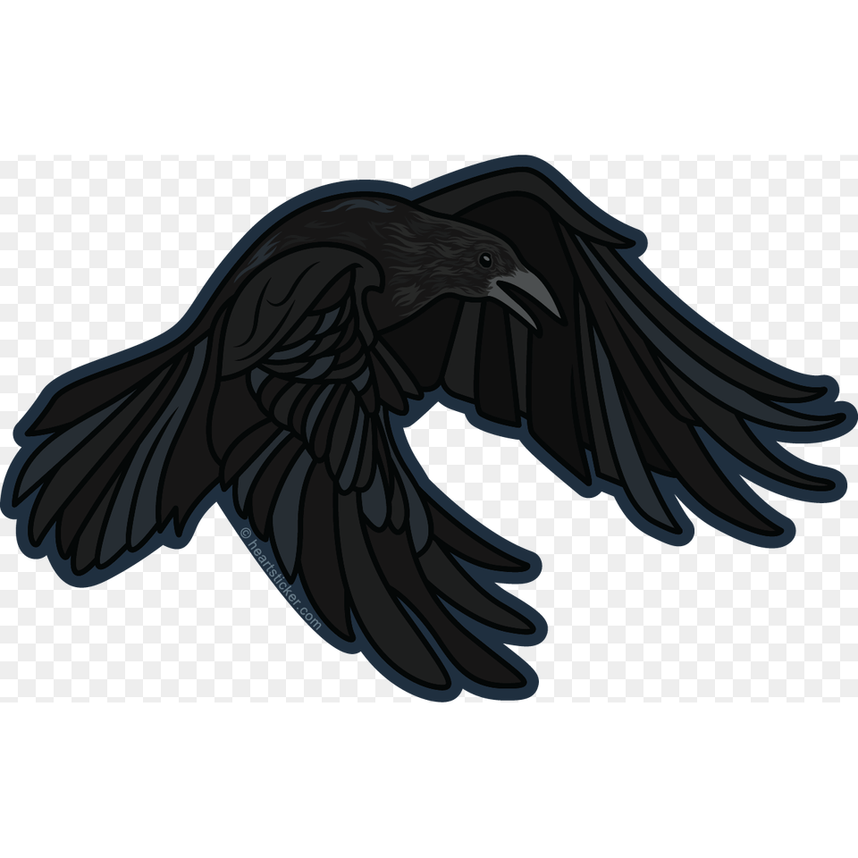 Landing Raven Vinyl Sticker Die Cut All Weather Sticker, Animal, Bird, Blackbird, Crow Free Transparent Png