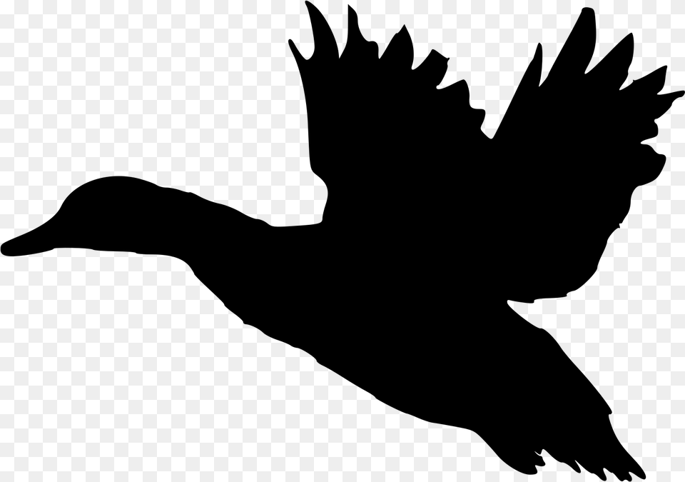 Landing Silhouette At Getdrawings Flying Duck Silhouette, Gray Free Transparent Png