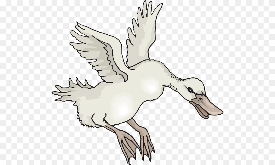 Landing White Duck Svg Clip Arts, Animal, Anseriformes, Bird, Waterfowl Png