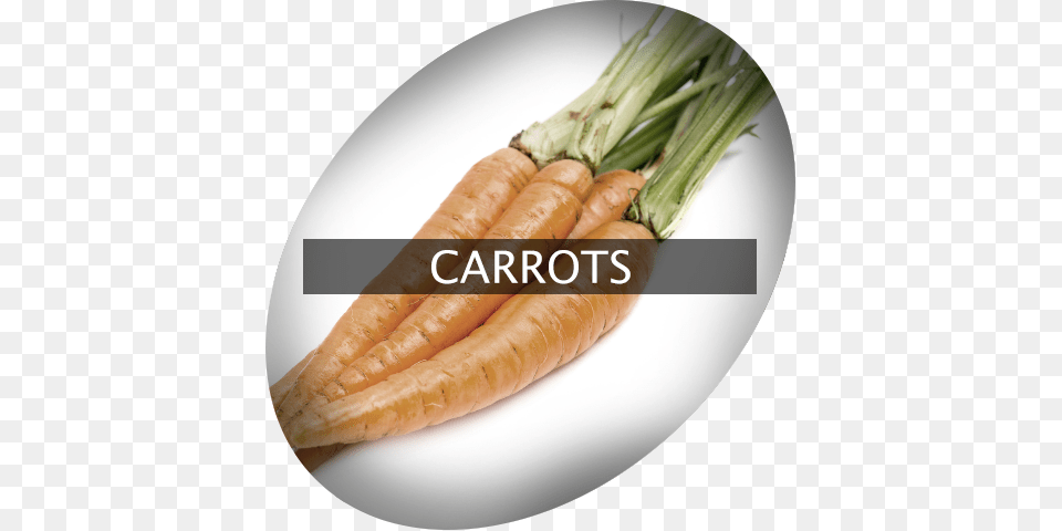 Landingimage Igrow Carrots Carrot, Food, Plant, Produce, Vegetable Free Png