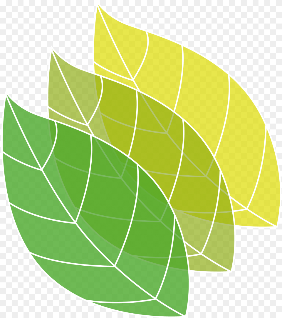Lands Design Is A Landscaping Plug In To Design Gardens Persian Lime, Leaf, Plant, Green Free Transparent Png