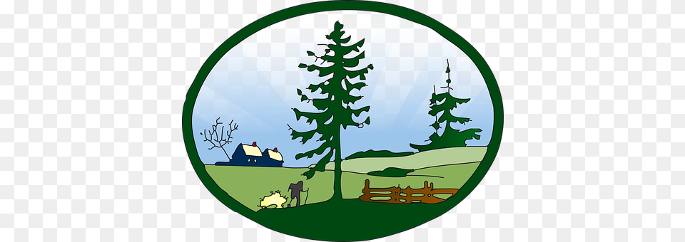 Landscape Fir, Plant, Tree, Pine Png