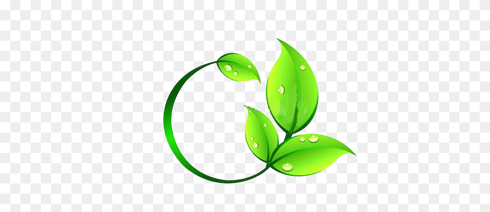 Landscape Artist, Green, Leaf, Plant, Herbal Png