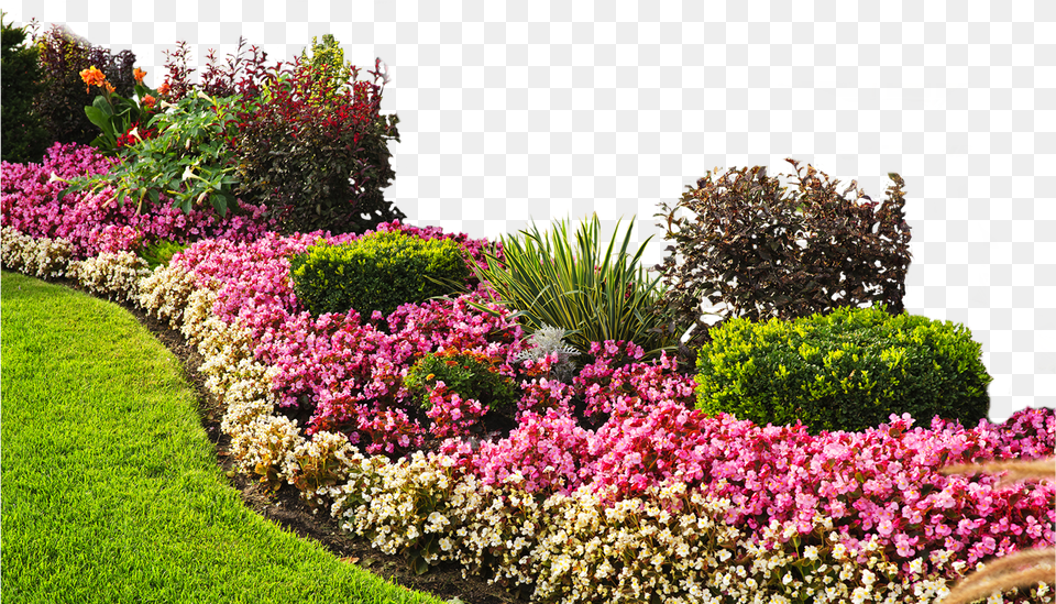 Landscape Background Flower Bed Landscape, Nature, Garden, Plant, Grass Free Transparent Png
