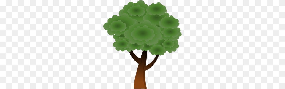 Landscape Clip Art Tree Top View, Plant, Potted Plant, Tree Trunk, Green Free Png