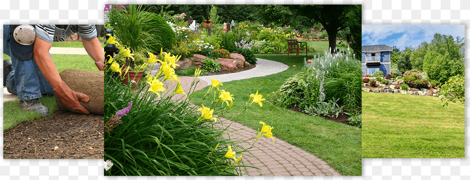Landscape Designs Paths In Garden Design, Lawn, Plant, Grass, Outdoors Png Image