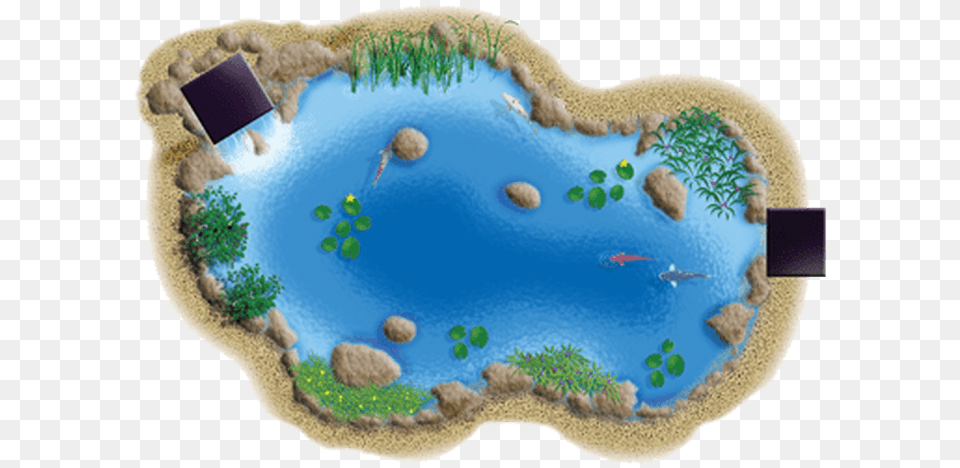 Landscape Pond Top View, Land, Water, Nature, Outdoors Free Transparent Png