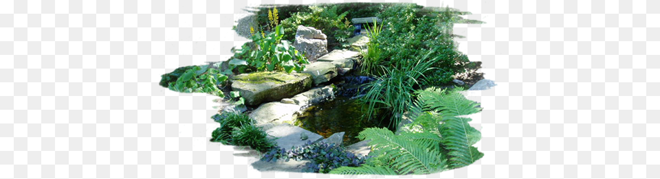 Landscape Transparent Background Landscape, Garden, Nature, Outdoors, Pond Png Image