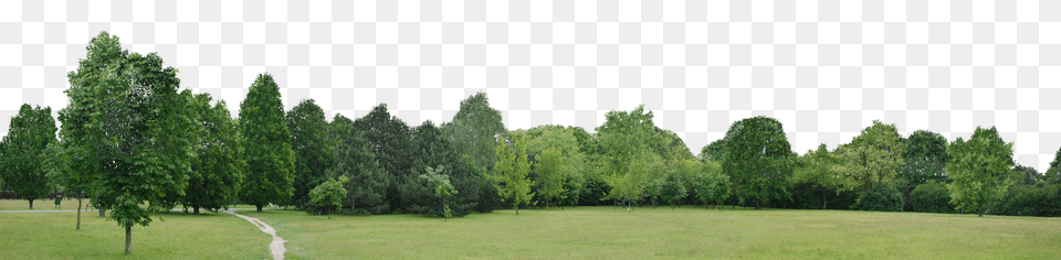 Landscape Trees Background, Field, Tree, Scenery, Plant Free Transparent Png