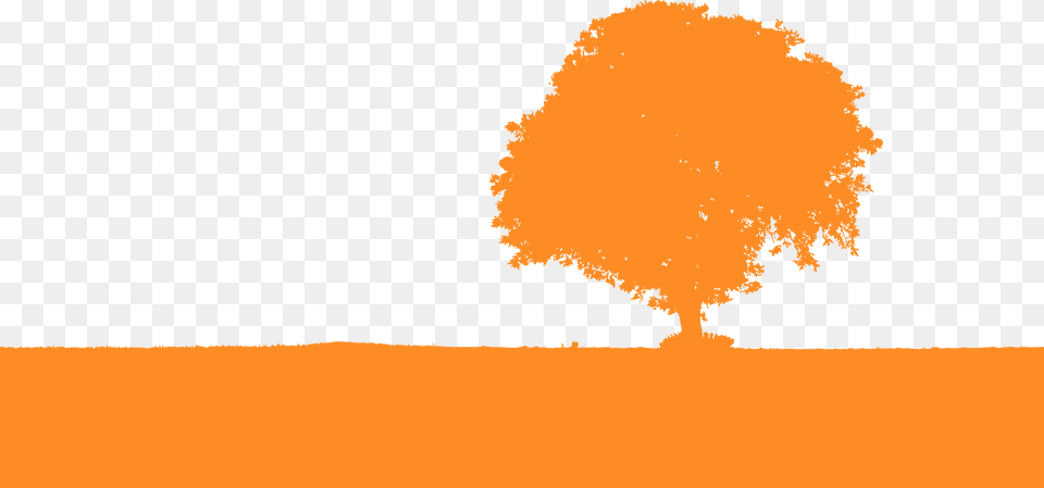 Landscape With Tree Silhouette, Plant, Outdoors, Nature Free Png Download