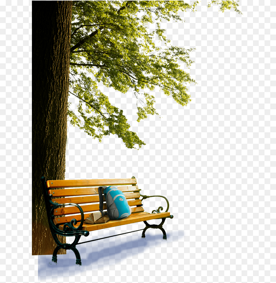 Landscapeoutdoor Bench Wallpaper Hd, Furniture, Park Bench Free Png Download