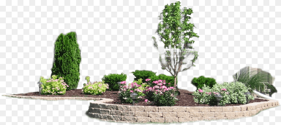Landscaping, Outdoors, Planter, Plant, Pottery Free Transparent Png
