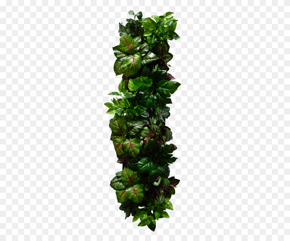 Landscaping Artificial Green Wall Home Decor Design Home Decor, Leaf, Plant, Herbs, Ivy Png
