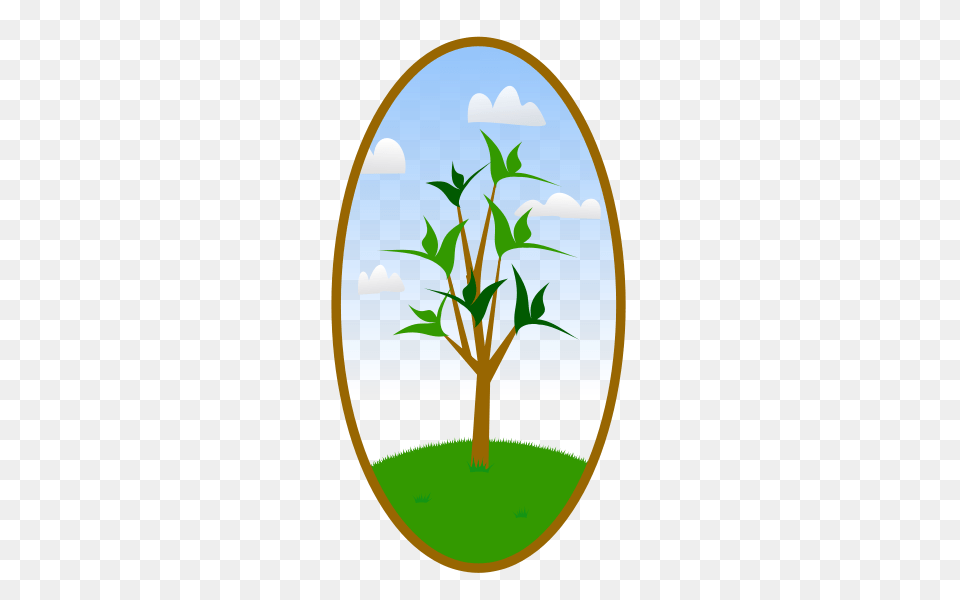 Landscaping Clipart, Leaf, Plant, Tree, Photography Free Transparent Png