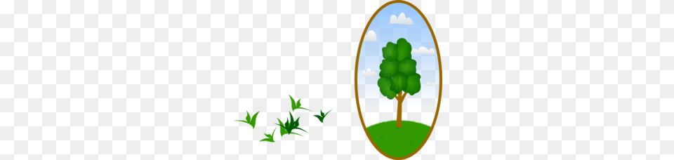 Landscaping Clipart, Tree, Green, Plant, Leaf Free Transparent Png