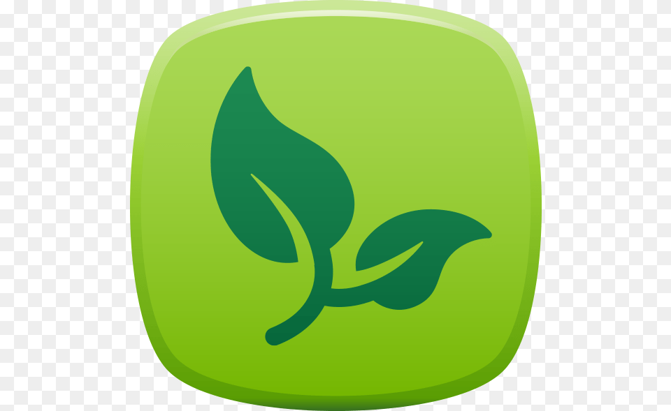 Landscaping Landscape Design, Bud, Flower, Plant, Sprout Png Image