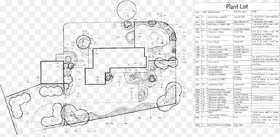 Landscaping Planting Plan Schedule, Cad Diagram, Diagram Free Png