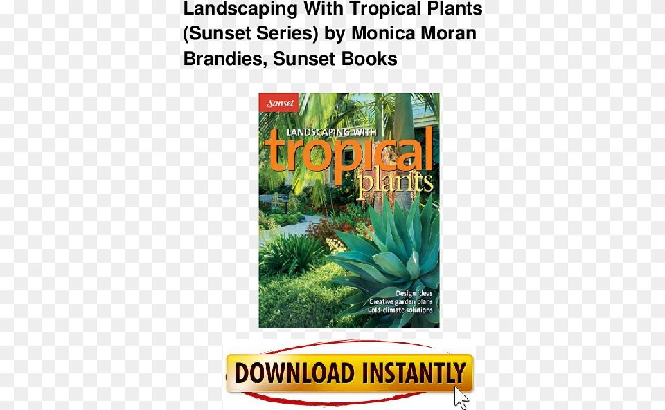 Landscaping Tropical Plants, Vegetation, Plant, Advertisement, Agavaceae Png Image