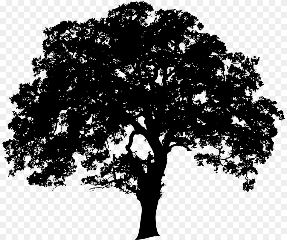 Landtrusttree 01 No Edging Oak Tree Silhouette, Gray Free Png Download