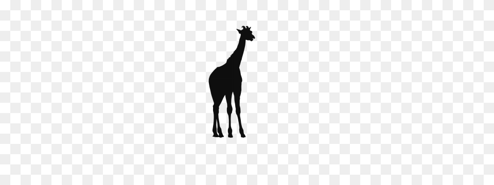 Lane Giraffe Black And Clipart For Download, Silhouette, Animal, Mammal, Wildlife Png Image